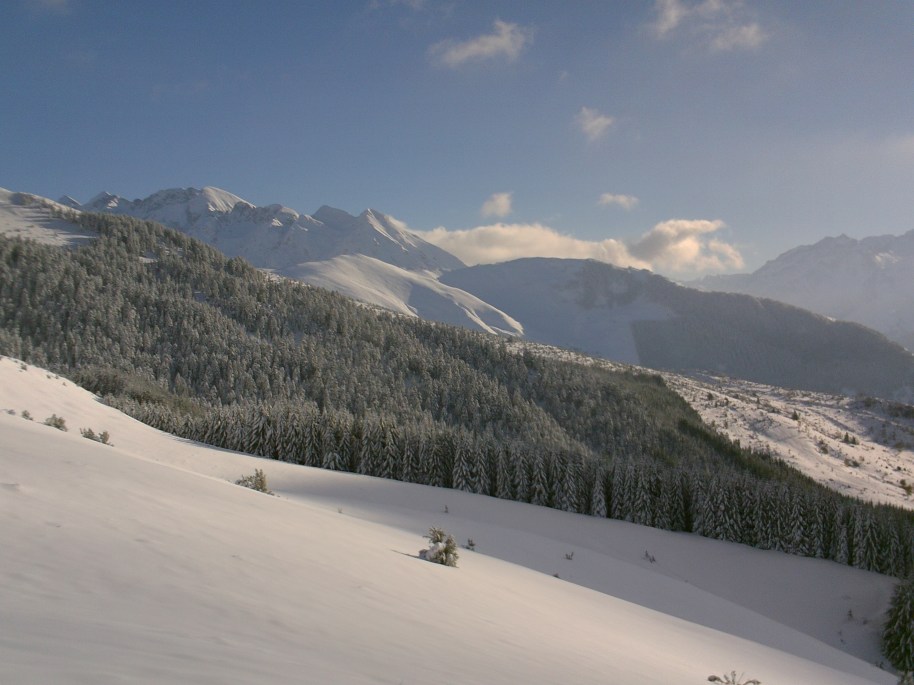 My beautiful picture