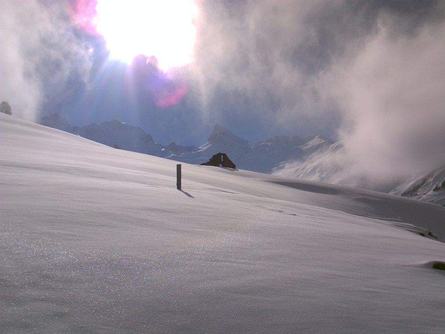 My beautiful picture