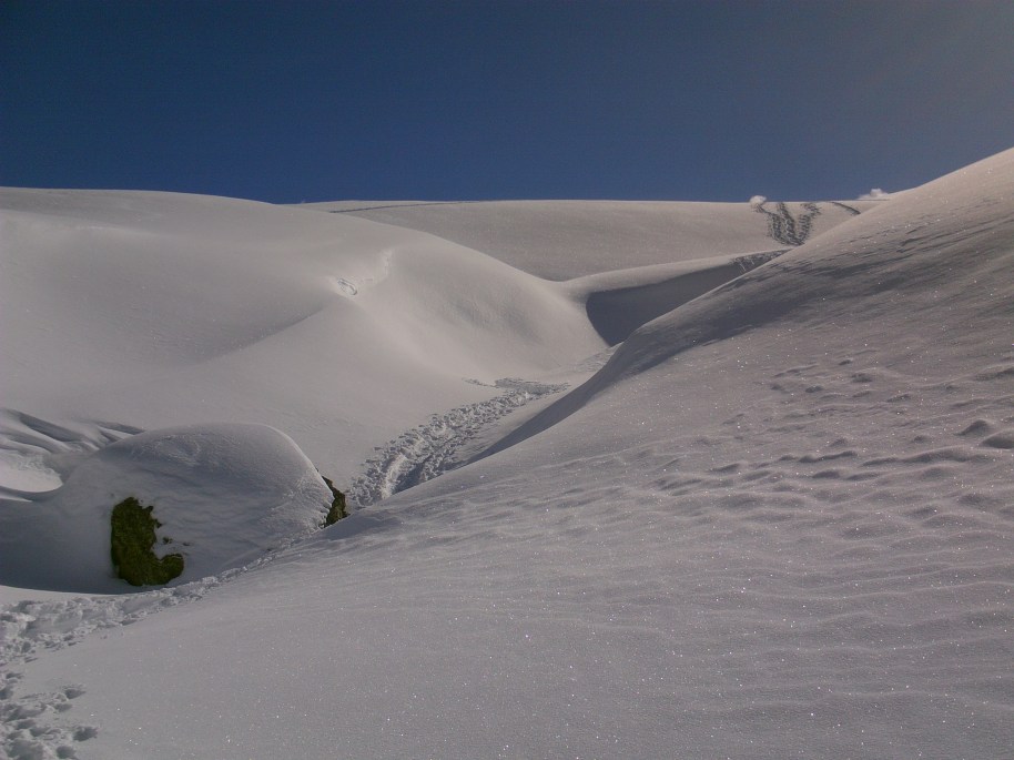 My beautiful picture