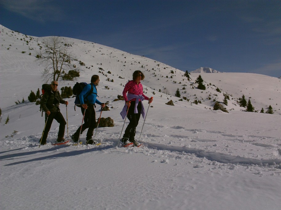 My beautiful picture