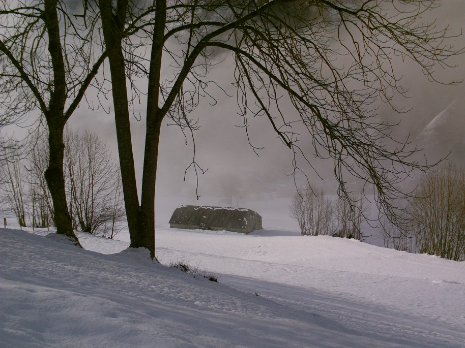 My beautiful picture