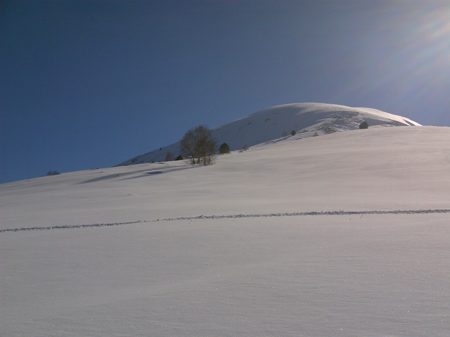 My beautiful picture