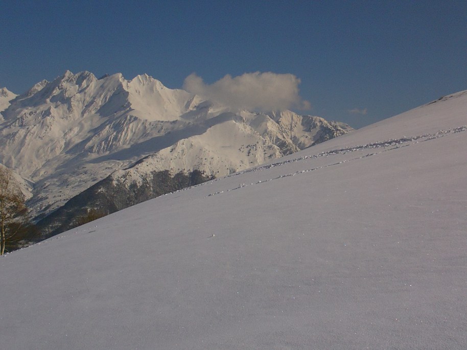 My beautiful picture