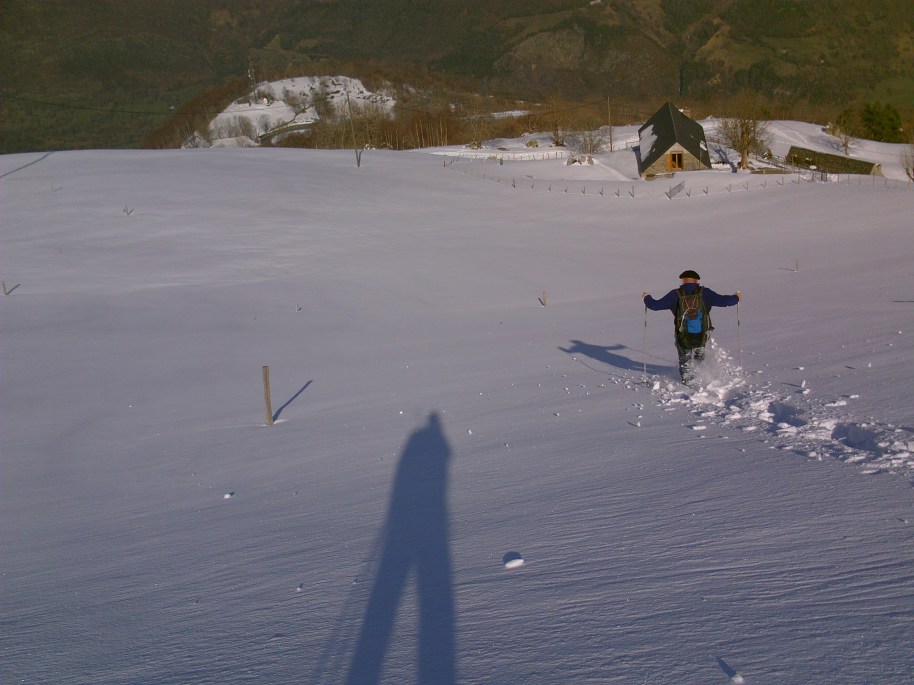 My beautiful picture